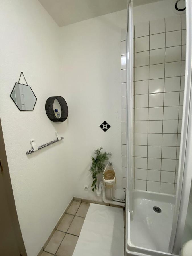 Suzanne Strasbourg Appartement Buitenkant foto